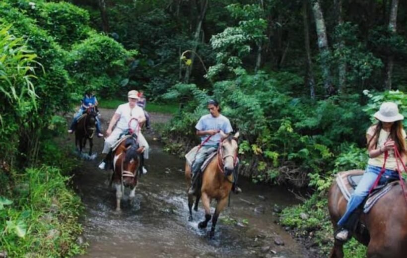 River Pool Swim & Village Visit and Horse Riding